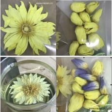 荷花烘干机